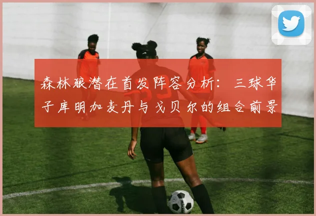 森林狼潜在首发阵容分析：三球华子库明加麦丹与戈贝尔的组合前景如何